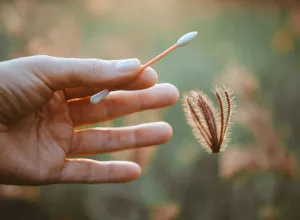 LastObject’s reusable cotton swabs